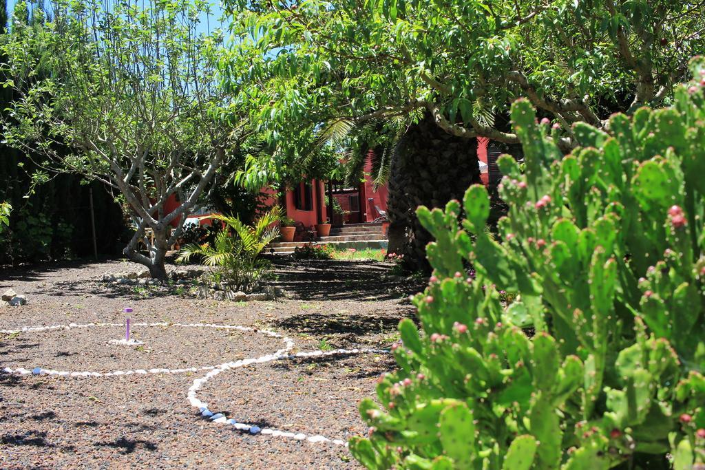 Luxury House In The Heart Of Tenerife La Laguna  Dış mekan fotoğraf